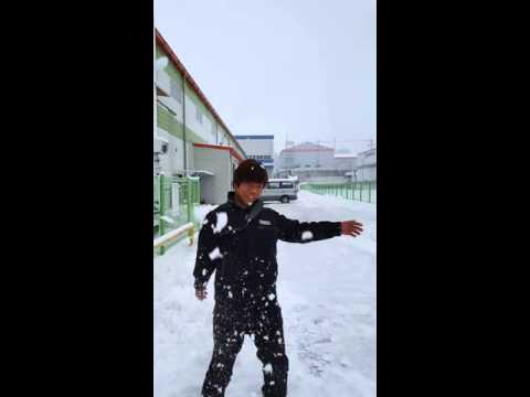 구미시에 눈많이 왔어요 2016년 1월 29일