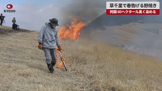【速報】草千里で春告げる野焼き 阿蘇、60ヘクタール黒く染める 熊本