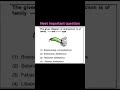neet expected question