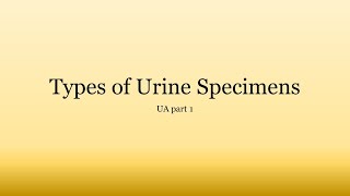 Urinalysis Basics: Types of Urine Specimens