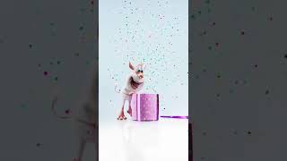 Подарок новый год #подпишись на канал#лайк #2025 #сюрприз#мультфильмы #канал