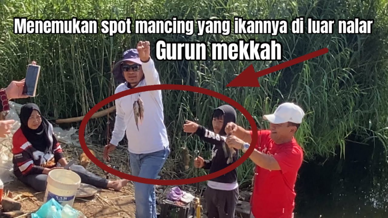 Это настоящая рыбалка в Аравийской пустыне, рыба просто невероятная.