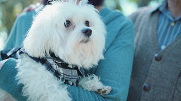 Airware  |  Residential Inspection