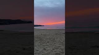 IMG 1109