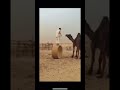 اهههههههههههه