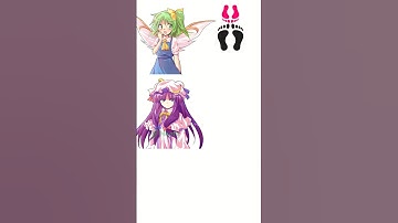 Touhou - Footprint Pattern Recognition Meme 1