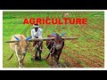Agta, Sugarcane supervisor important class 2026 all agriculture exam..#agta #sugarcane #study