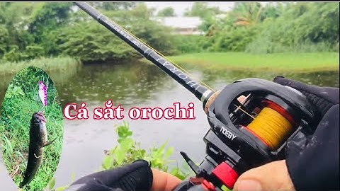Câu Cá Lóc,Lure Cá Lóc,Cá sắt Orochi Test Điểm Câu Bằng Cần Máy Ngang và Máy Đứng | Đại Ngáo Vlog #6