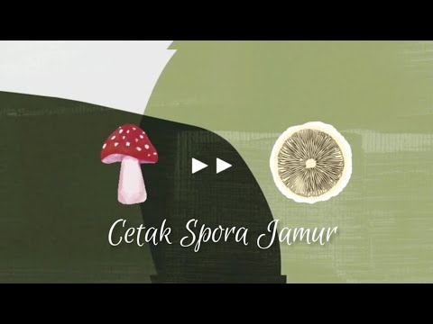Video: Bagaimana cara kerja spora jamur?