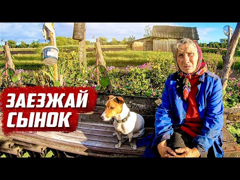 Больная но зато на свободе! | Курская обл, Щигровский р/н д.Курносовка