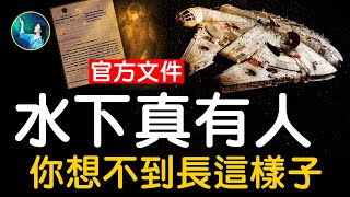 你一定想不到水底下的人長這樣從古到今它們一直都在真的瑞典打撈14萬年的千年隼UFO海中異常現象頻現| #未解之謎 扶搖