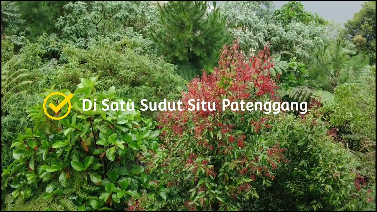 In One Corner of Patenggang Lake #new #trending #healing #nature #bandung #life