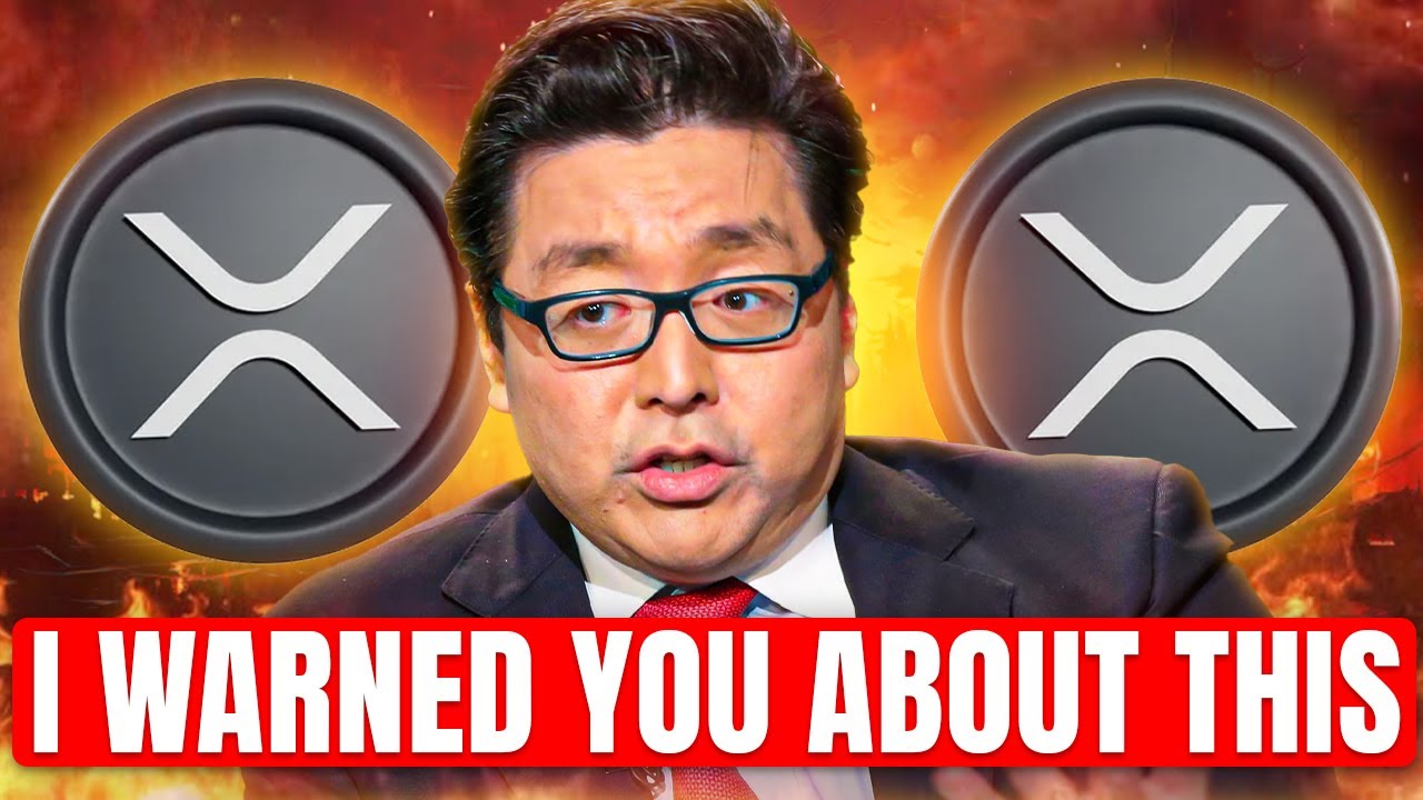 Most People Don't Realize What's About To Hit XRP! Tom Lee Most People Don't Realize What's About To Hit XRP! Tom Lee