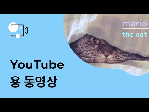 YouTube용 동영상을 만드는 방법은 무엇입니까 | 비디오 편집 (튜토리얼 2021)