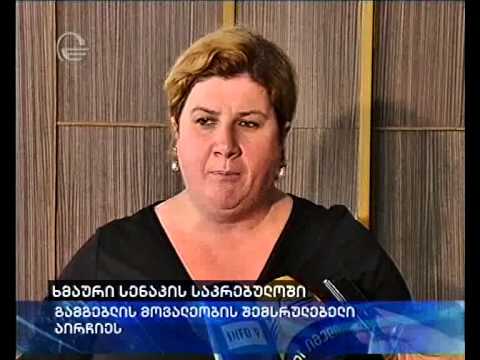 აქცია სენაკში