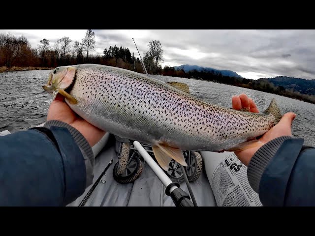 Trout Fishing with Kastmaster spoon  Winter trout fishing at Lake  Sammamish, WA State 