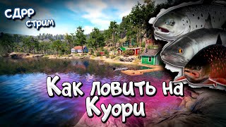 Способы ловли на Куори. ( Русская рыбалка 4 )