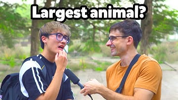 Bạn biết trả lời 5 câu hỏi tiếng Anh này không? | Tiếng Anh giao tiếp