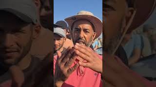 السيد دخل بيناتهوم والخولي فيه علا  ومولاه مقنعش والخوف بلاش اخوتي