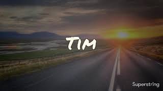 Tim - Little Lion (Original song)