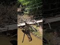 Drone: Flying over the Chantal-damaged pedestrian bridge in the Eno River State Park
