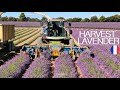 🤠 RÉCOLTE LAVANDE en FRANCE : des MACHINES UNIQUES 😱 24H au PARADIS ! VALENSOLE & Gorges du VERDON 😍