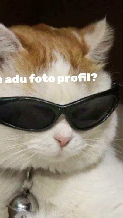 download ajh di ytmp4