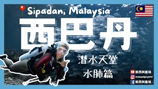 [馬來西亞Malaysia] 潛水員天堂之必去的西巴丹SIPADAN 究竟到底有多值得