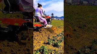 You Need A Mini Tiller