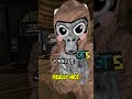 I need vid ideas