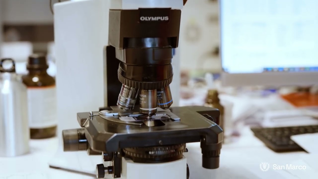 How to - Diagnostic Laboratory - Blood Smear