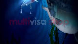 Isca Led - Multivisa Shop