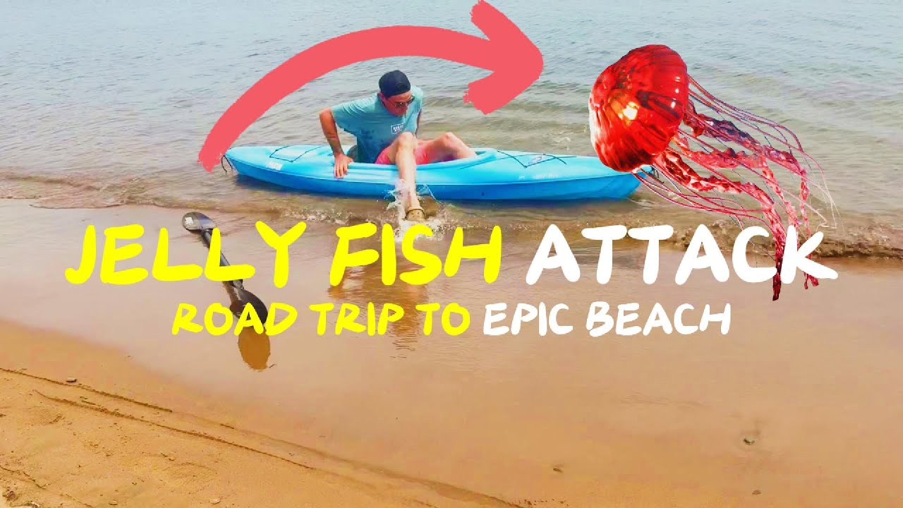 Canadian Road Trip, Epic Outdoors Adventure. Family Vlog Nova Scotia.