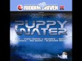 Tanto Metro & Devonte - Money (Puppy Water Riddim)