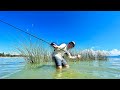 Pescando Laguna durante Sequía Extrema! | Pesca en Centímetros de Agua!