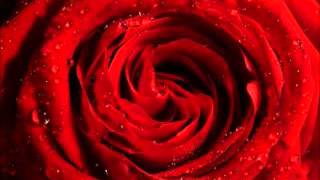 Ahmet Akbal - Delikanlım.wmv
