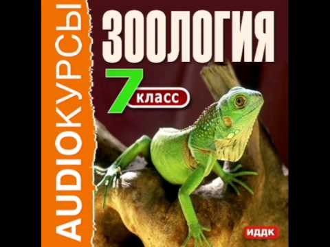 2000251 Urok 15 Аудиокнига. "7 класс. Зоология"