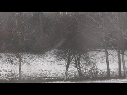 27/12/14 - Sneeuw in Rozenburg ZH