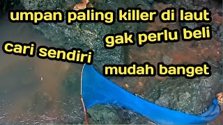 Tutorial mencari umpan gasing/anakan kepiting