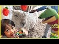 Kids Strawberry Picking at the Farm with Ryan ToysReview!