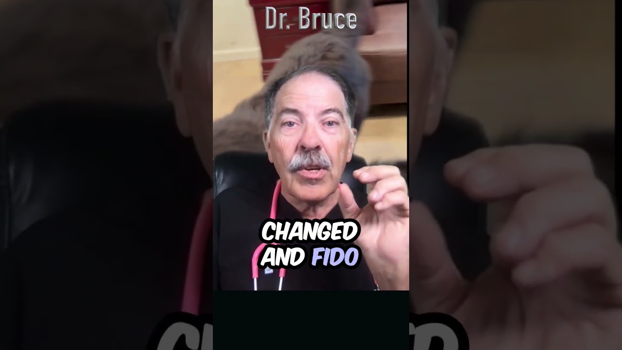 Dog Fireworks Danger A change in schedule produces danger and stress -Tip 2