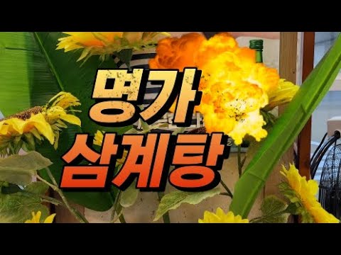 종갓집 맏며느리 요리솜씨, 미인 대표님 손맛 #명가삼계탕 #세종시맛집 #국무조정실앞