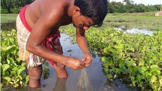 Best Fishing Video Primitive Fishing,Fishing - New Fishing Video 2020