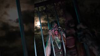 Inside the CRAZY Haunt of Mike Busey with That Mexican OT