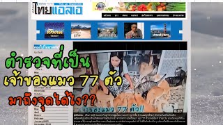 ตำรวจที่เป็น เจ้าของแมว 77 ตัว มาถึงจุดนี้ได้ไง?? #แมวจร #catlover #cat #ผู้กองแขกกับแมวจร Vol.2 