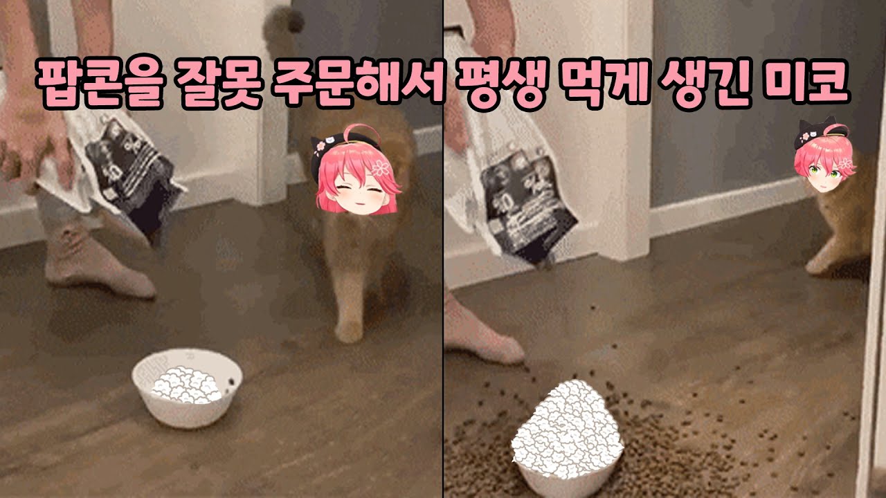 미코가 잘못 시킨 물품:팝콘 1년분, 업소용 팝콘, 시럽 275개 등《사쿠라 미코/홀로라이브》