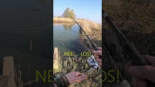 Dagje snoeken in de polder. #snoek #snoekbaars