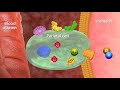 How I Weaned Off Omeprazole PPI Healed My Acid Reflux Naturally
