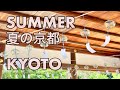 夏の京都 美しい夏の風景 1分動画 Summer in Kyoto beautiful landscapes with green leaves, cigadas & wind chime