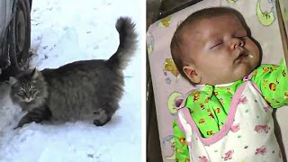 Baby Is Abandoned And Left To Freeze To Death, But Now Watch What This Cat Does